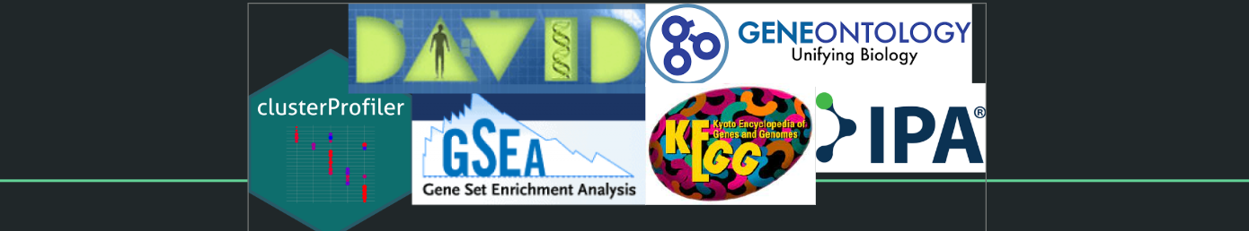 Common enrichment tool logos: DAVID, GSEA, ClusterProfiler, KEGG, IPA, GeneOntology
