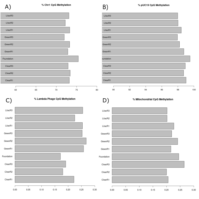 CpG methylation percentage present in each sample of the main data. (A) Bar chart displaying the CpG methylation present in chromosome 1 of each sample. (B) Bar chart displaying the CpG methylation present in the spiked in pUC19 plasmid DNA in each of the samples. (C) Bar chart displaying the CpG methylation present in the spiked in lambda phage DNA in each of the samples. (D) Bar chart displaying the CpG methylation present in the mitochondrial chromosome in each of the samples. 