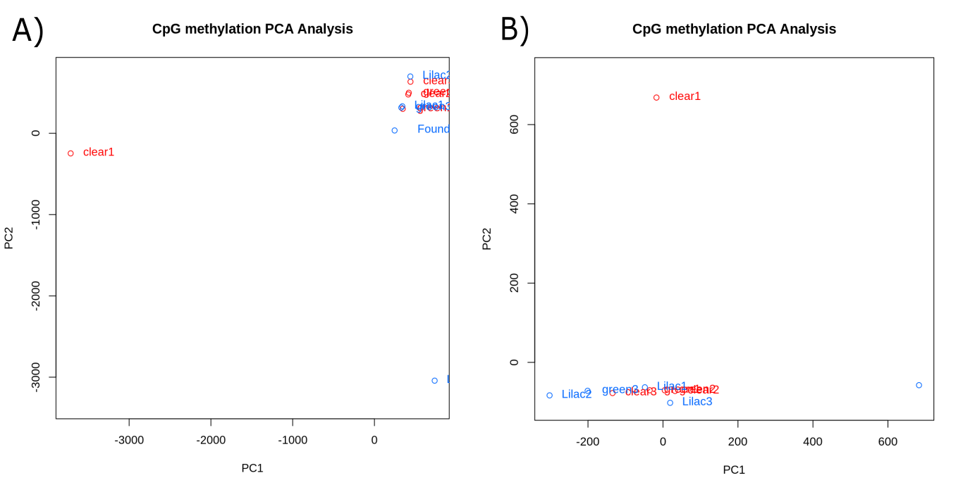PCA plots created using CpG methylation data. (A) A PCA plot created using CpG methylation data at the CpG site scale. (B) A PCA plot created using CpG methylation data at the tile scale.