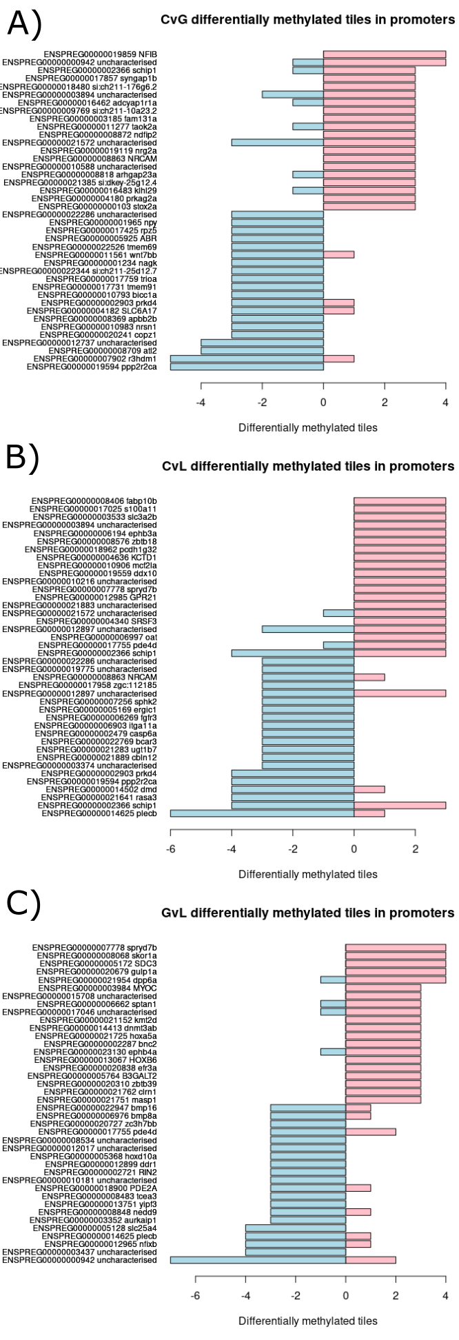 Contains three bar charts which each display the twenty genes with the most differentially methylated tiles annotated to their promoter region which are in the negative direction and the twenty genes with the most differentially methylated tiles annotated to their promoter region which are in the positive direction from each light condition comparison. (A) Bar chart created using clear versus green comparison. (B)  Bar chart created using clear versus lilac comparison. (C) Bar chart created using green versus lilac comparison.